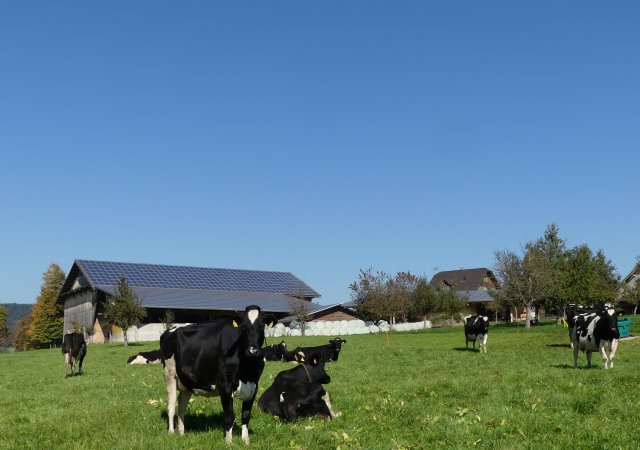 Hodel Buttisholz 376kWp